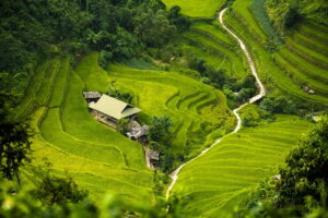 以下は「看護師になるまでのステップ　国家試験」に関連するQ&Aタイトルの提案です。