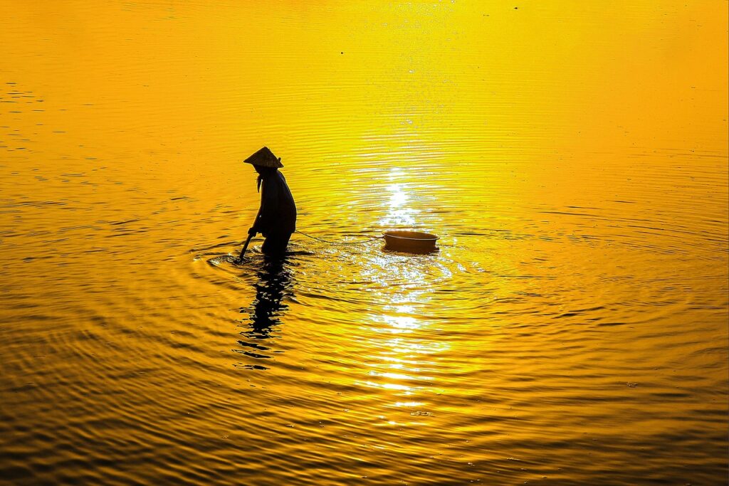 看護師資格の取り方にはどんなステップが必要ですか？