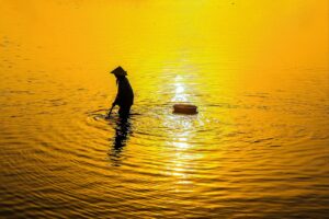 保健師になるにはどのようなステップが必要ですか？