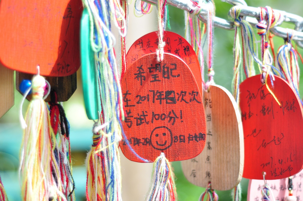 看護学校のAO入試における特徴とは何ですか？