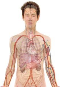 看護師学校の選び方は何を基準にすればいい？