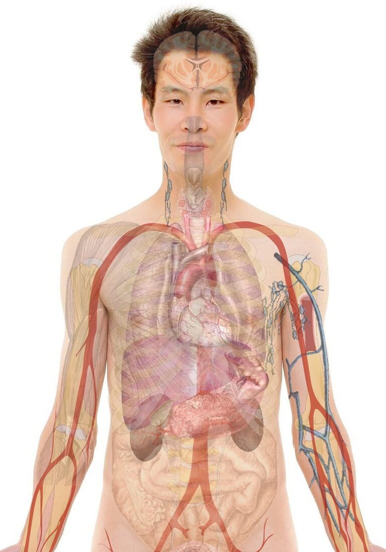 看護師学校の選び方は何を基準にすればいい？